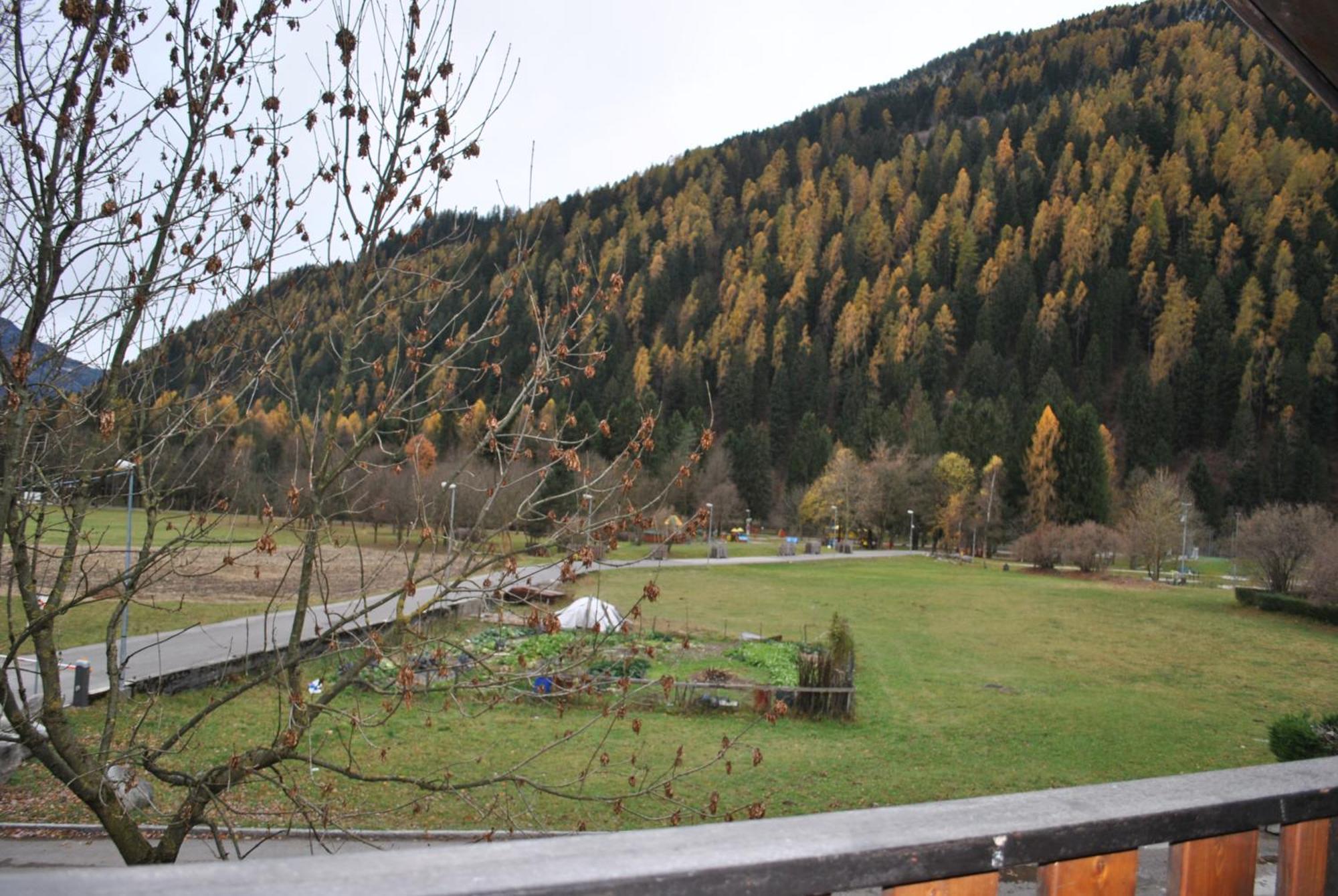 La Pineta - Appartamenti In Villetta 平佐洛 外观 照片